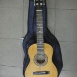 614 8006 Gitarr